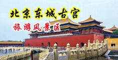 sexav中国北京-东城古宫旅游风景区